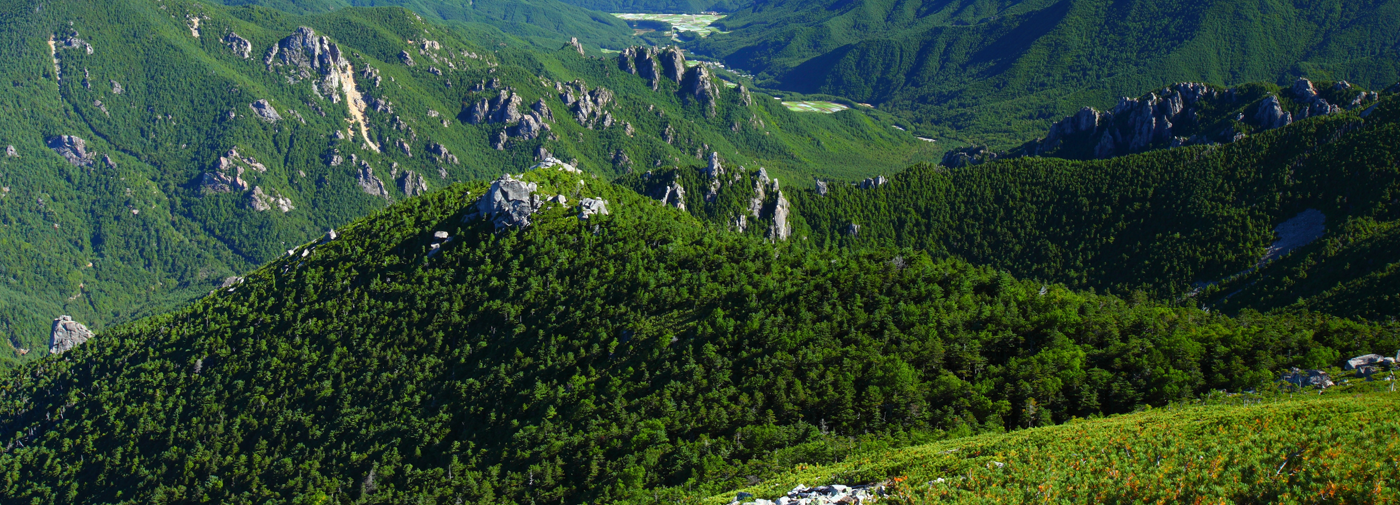 茅野