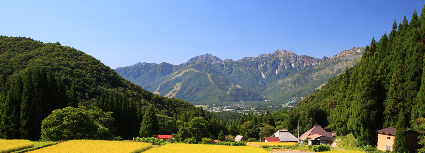 茅野