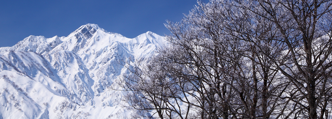 茅野